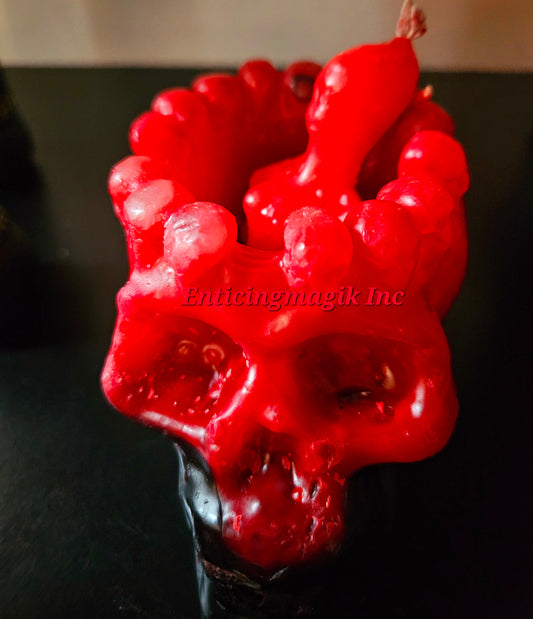 Double Action Reversible Skull Head with Figure