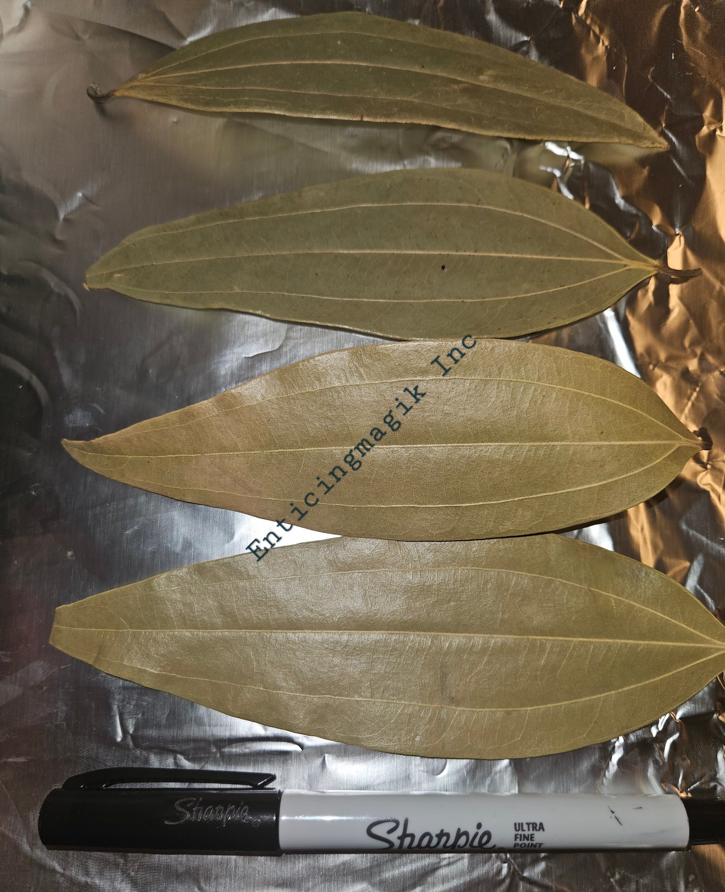 7 Large Full Bay Leafs