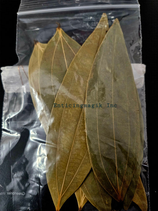 7 Large Full Bay Leafs