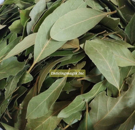 5 BayLeafs Petition Burning